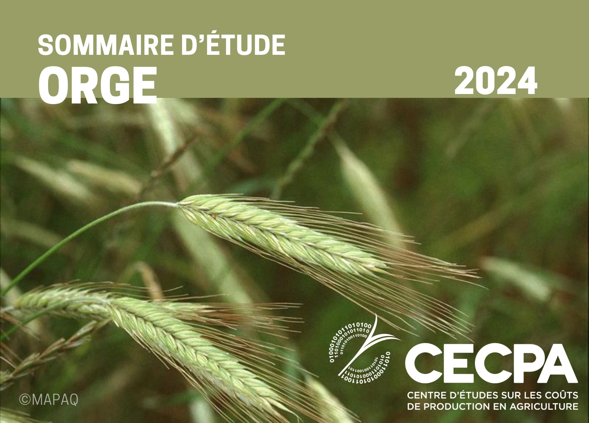 Récentes publications : SOMMAIRE - COÛT DE PRODUCTION - ORGE 2024